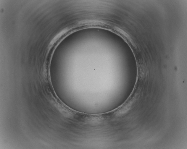 X0000077341074200610201253