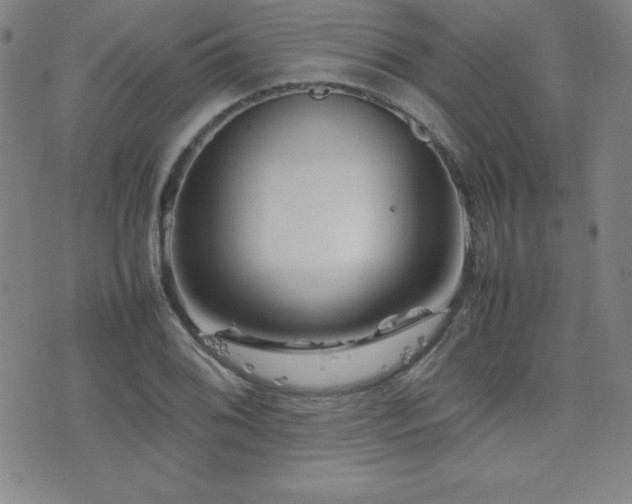 X0000077341076200610201253