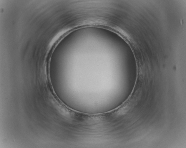 X0000077341078200610201253