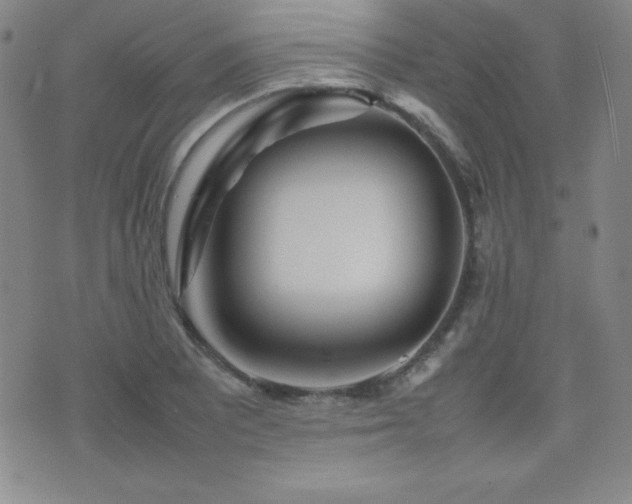 X0000077341081200610201253