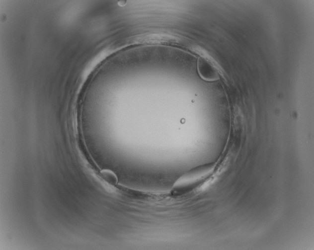 X0000077341083200610201253