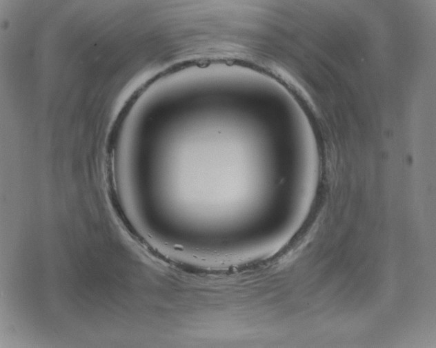 X0000077341085200610201253