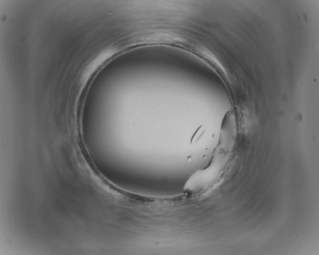 X0000077341087200610201253