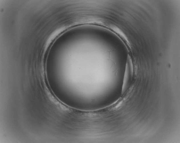 X0000077341088200610201253