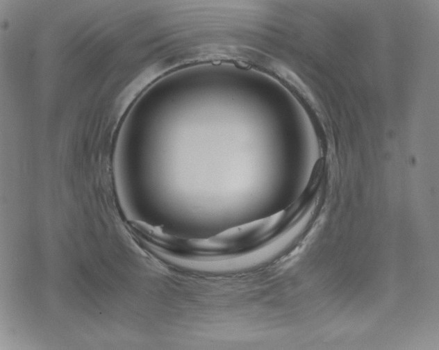 X0000077341089200610201253