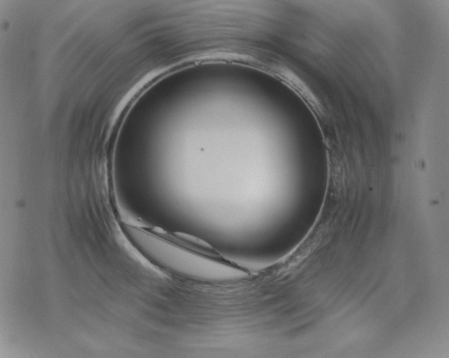 X0000077341092200610201253