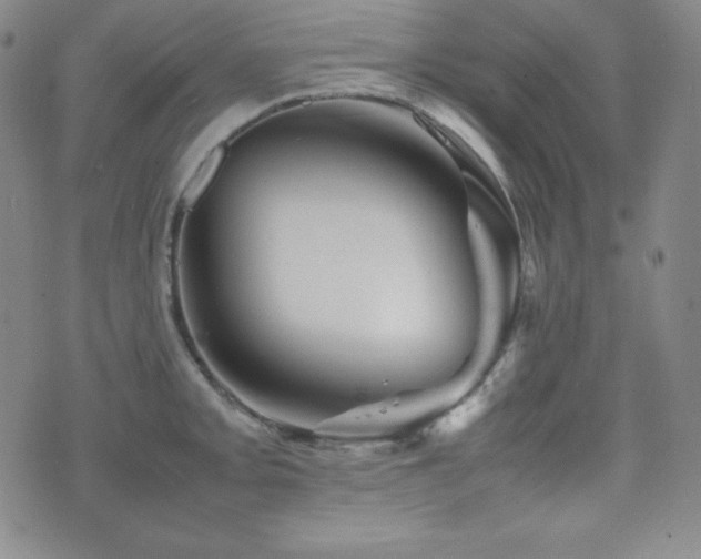 X0000077341093200610201253