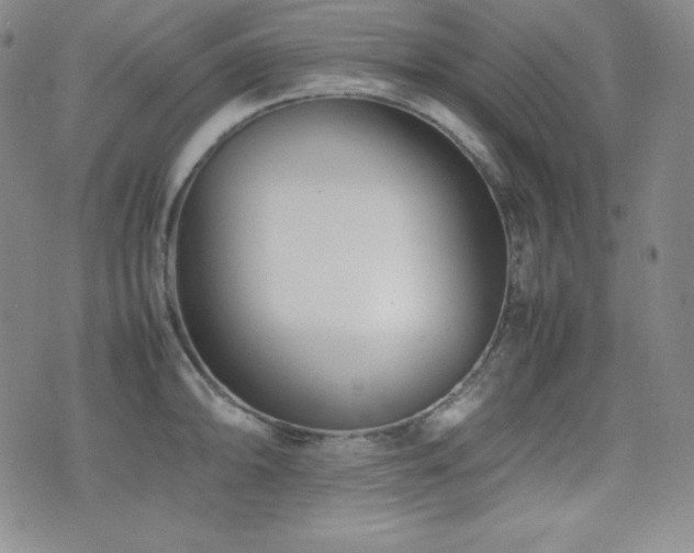 X0000077341094200610201253