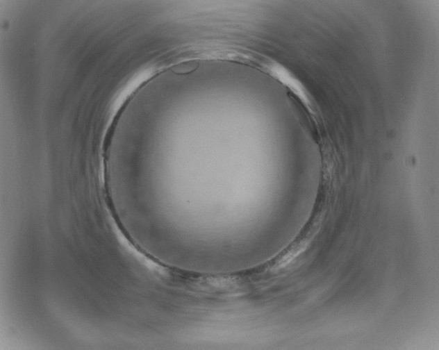 X0000077341095200610201253