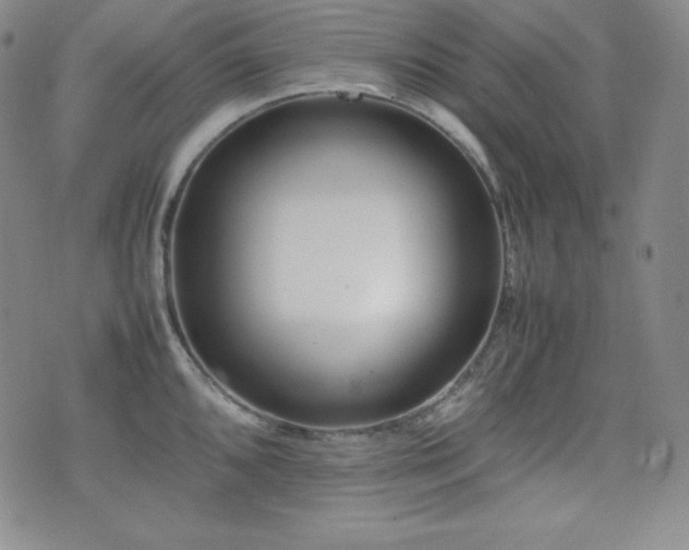 X0000077341096200610201253