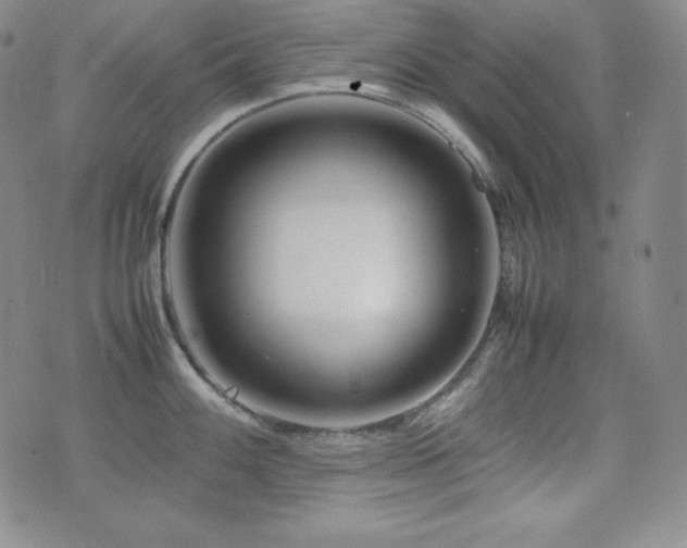 X0000077341100200610201253