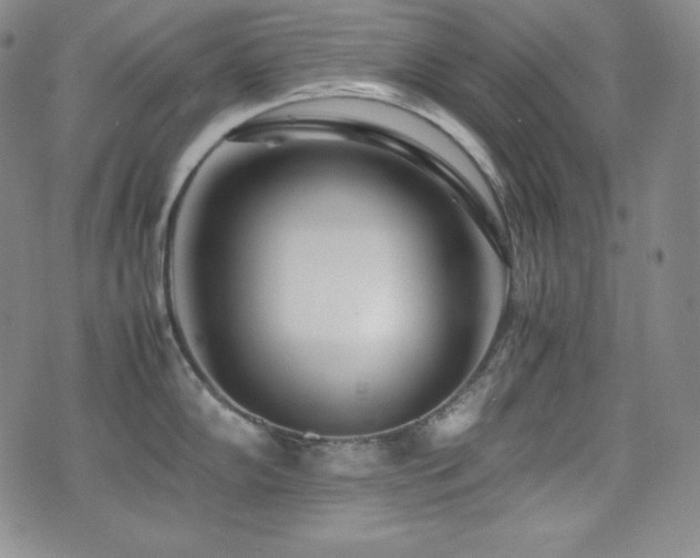 X0000077341102200610201253