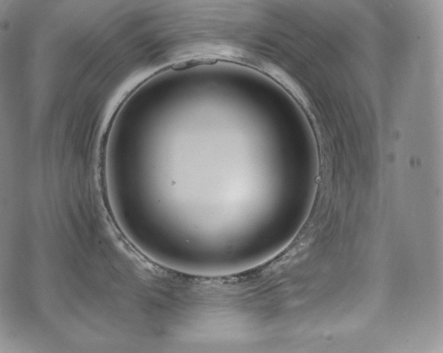 X0000077341104200610201253