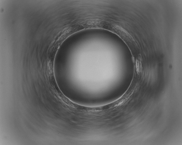 X0000077341107200610201252