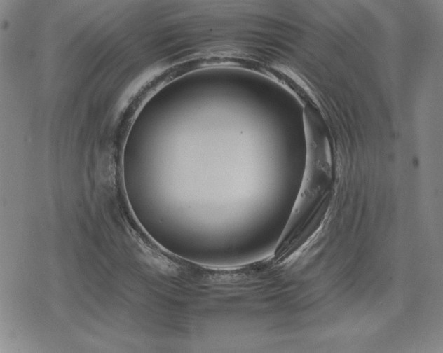 X0000077341115200610201252