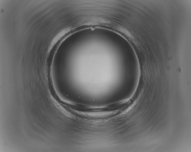 X0000077341122200610201252