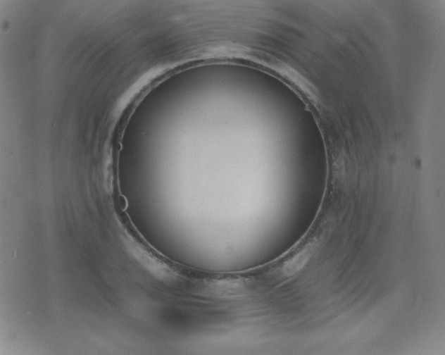 X0000077341126200610201252