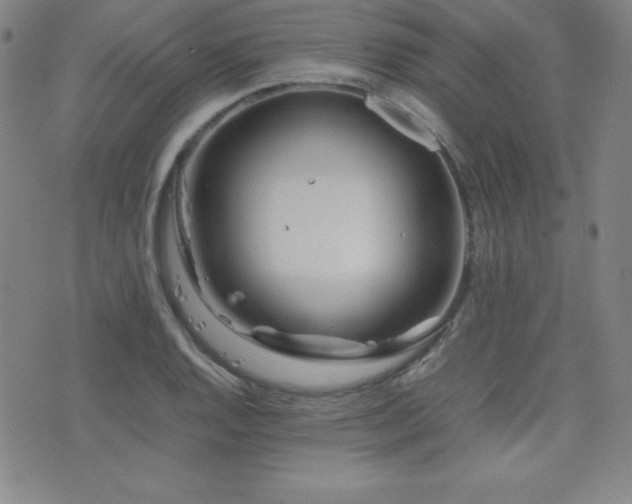 X0000077341128200610201252