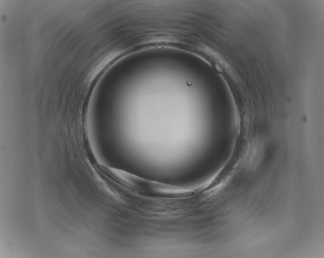 X0000077341129200610201252