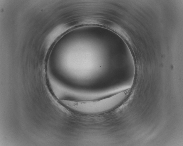X0000077341133200610201252