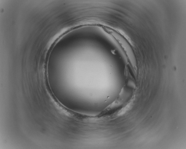 X0000077341134200610201252