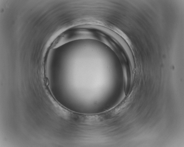 X0000077341144200610201253