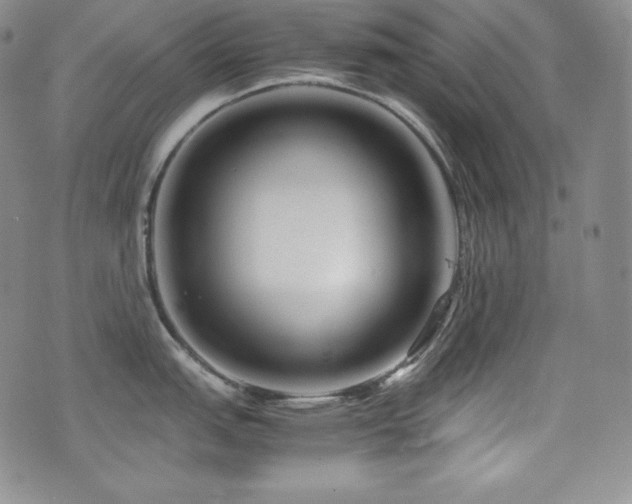 X0000077341151200610201253