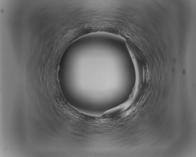 X0000077341153200610201252