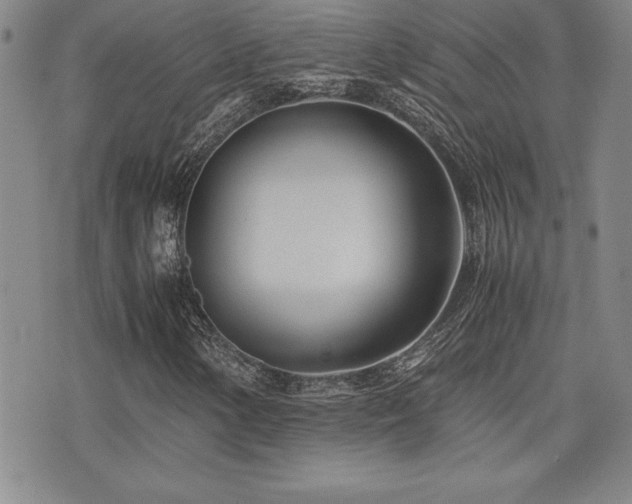 X0000077341154200610201252