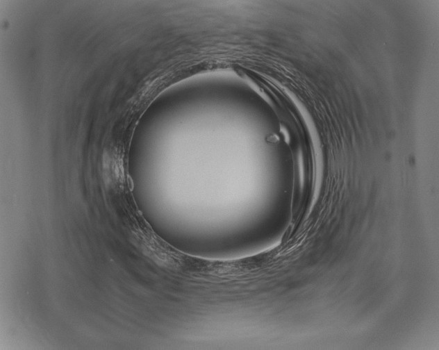 X0000077341155200610201252