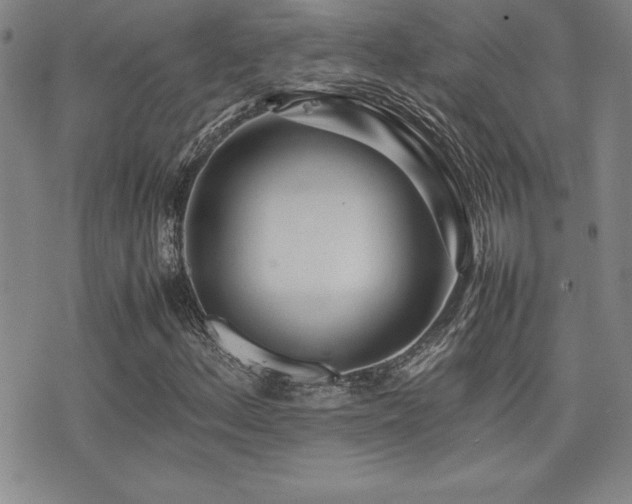 X0000077341156200610201252