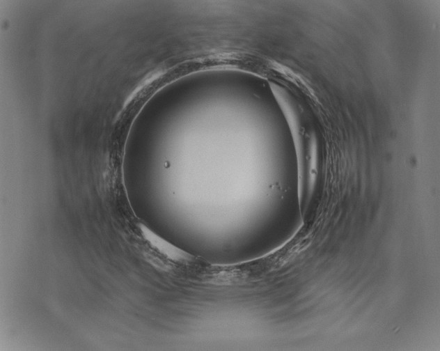 X0000077341160200610201252