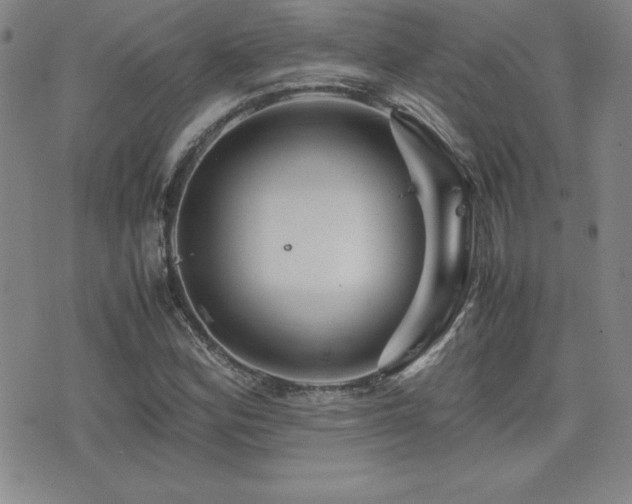 X0000077341164200610201252