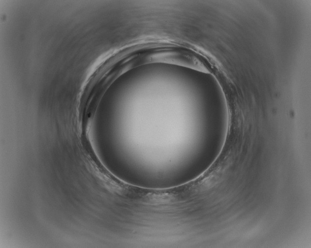 X0000077341168200610201252