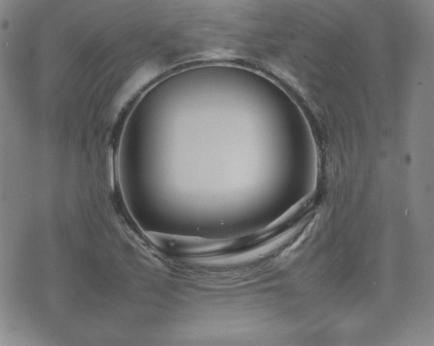 X0000077341171200610201252