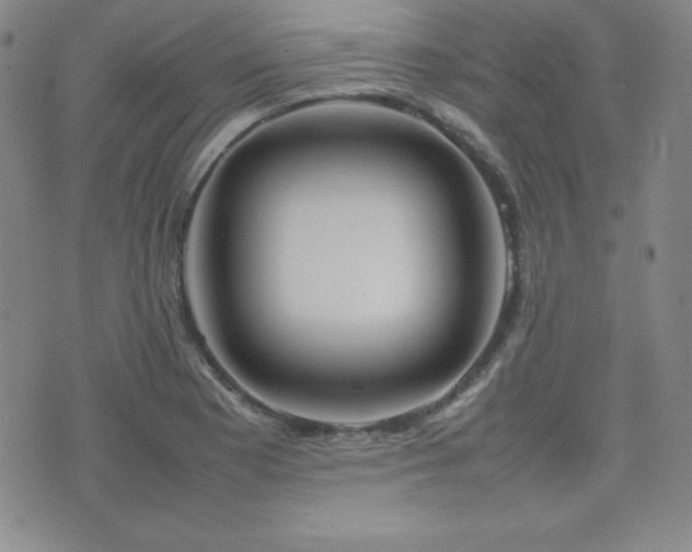 X0000077341177200610201251