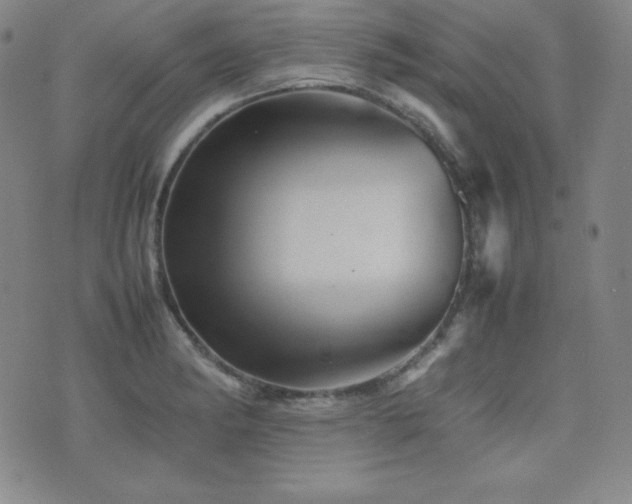 X0000077341182200610201251