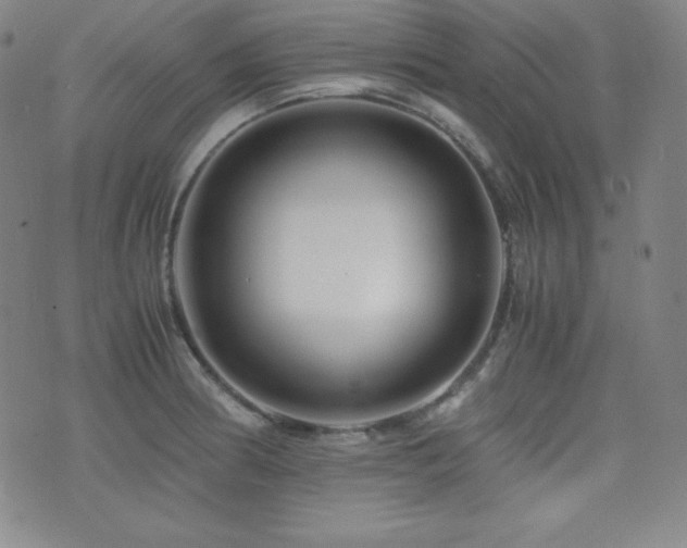 X0000077341186200610201251
