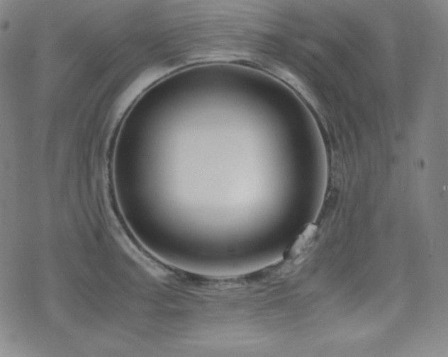 X0000077341187200610201251