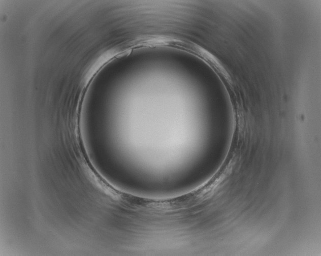X0000077341194200610201251