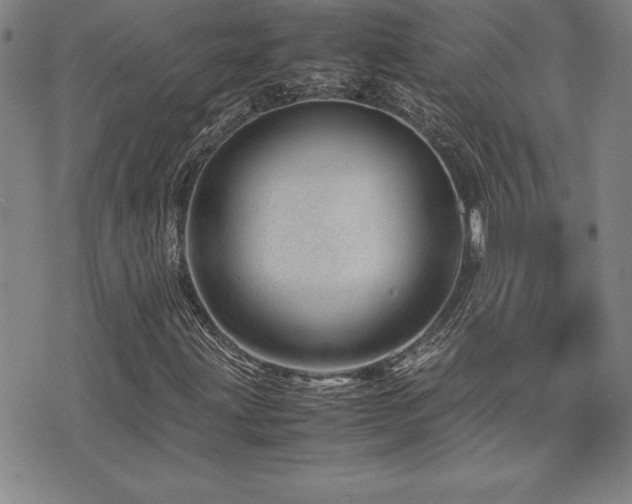 X0000077341203200610201250