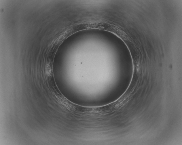 X0000077341204200610201250