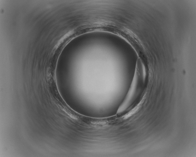 X0000077341210200610201250