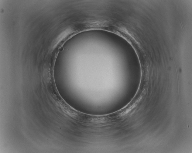 X0000077341211200610201250