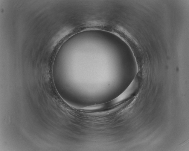X0000077341213200610201251
