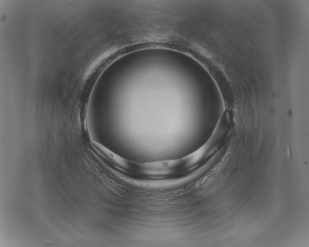 X0000077341214200610201251