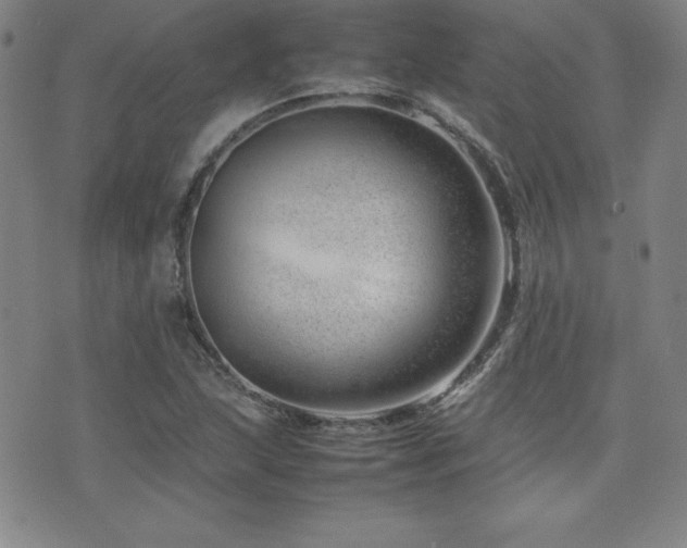 X0000077341215200610201251