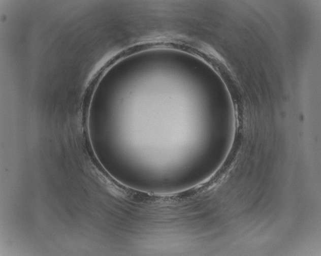 X0000077341216200610201251