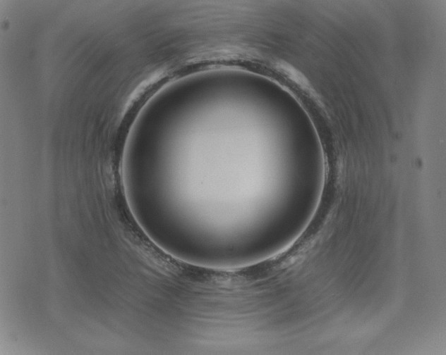 X0000077341218200610201251