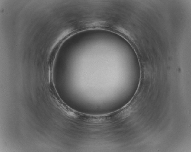 X0000077341219200610201251